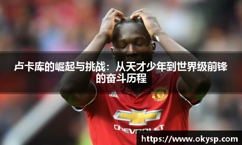 bwin卢卡库的崛起与挑战：从天才少年到世界级前锋的奋斗历程