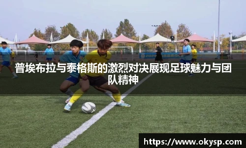 必赢bwin